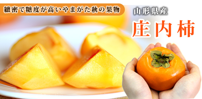 山形秋の味覚庄内柿